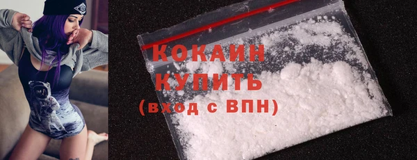 PSILOCYBIN Майский