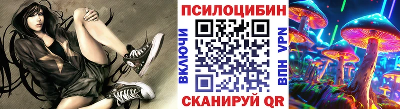 гидра как войти Ступино Галлюциногенные грибы ЛСД продажа наркотиков